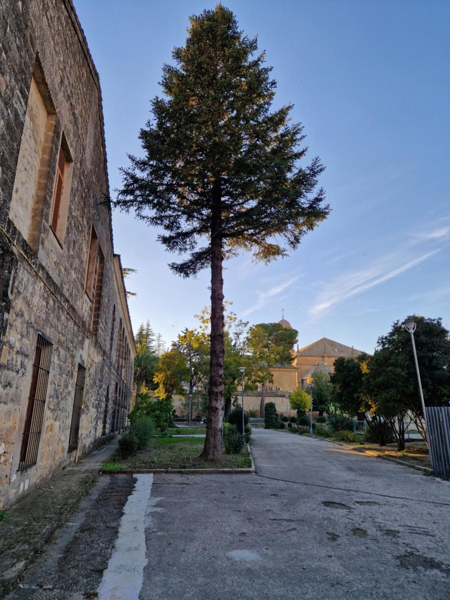 Apartamento V27 Baeza Kültér fotó